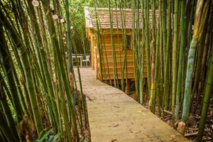EtxeXuria-cabane passerelle bambous