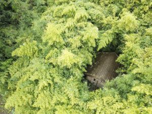 cabane bambous - vue du haut