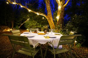 Diner pour 6 personnes dans le jardin