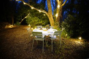 Diner pour 6 personnes dans le jardin