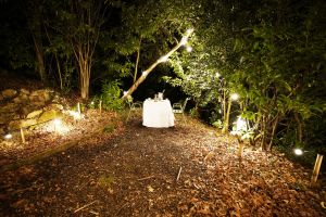 Diner en amoureux sous les arbres