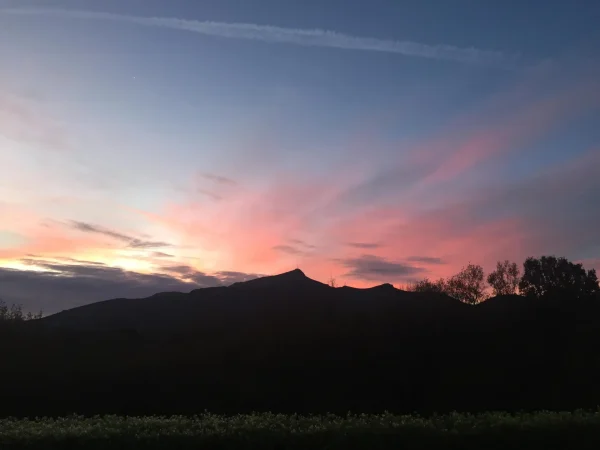 Lever de soleil sur la forêt autour de la maison