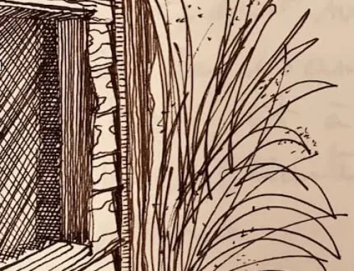 Livre d&rsquo;or – compilation jusqu&rsquo;à 2023